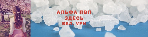 гашик Нефтегорск