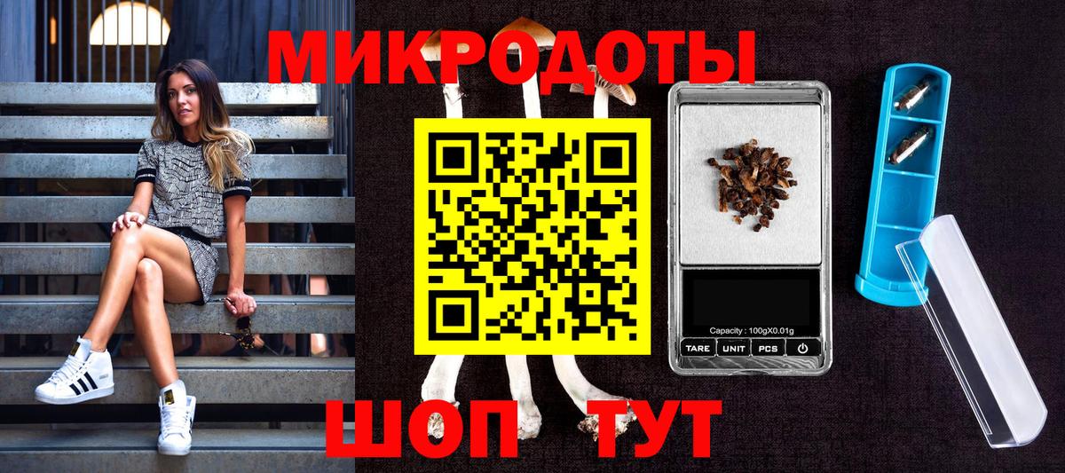 Галлюциногенные грибы Psilocybe  Псилоцибиновые грибы ЛСД  Изобильный 