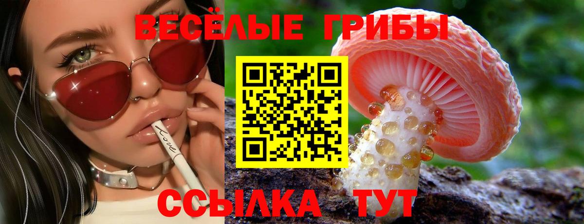 Галлюциногенные грибы мухоморы  Вход с VPN  Изобильный 